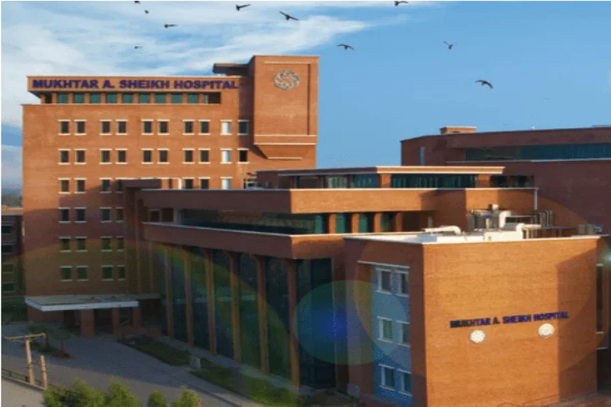 Screenshot-2024-09-25-205446